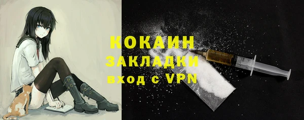 гашик Балахна