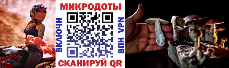 Псилоцибиновые грибы Psilocybe  hydra   Омутнинск 
